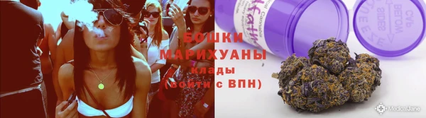 дживик Верея