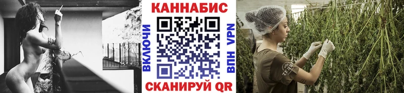 купить наркотик  Тюмень  Конопля Amnesia 